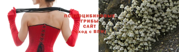 ALPHA PVP Аркадак