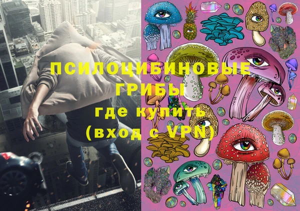 мяу мяу мука Арсеньев
