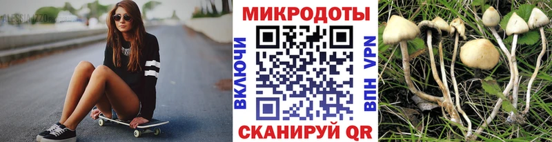 Галлюциногенные грибы MAGIC MUSHROOMS  Волжский 
