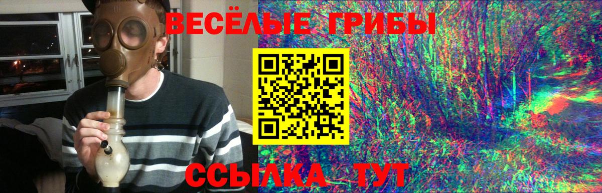 Волжский  Псилоцибиновые грибы Cubensis  Вход с VPN 
