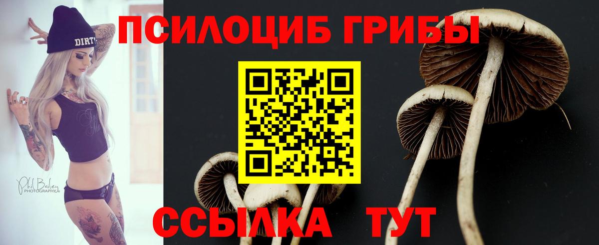 Галлюциногенные грибы GOLDEN TEACHER Волжский