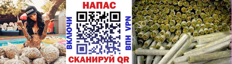 Бошки марихуана сатива  Волжский 